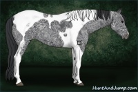 Horse Color:Black Ice Tobiano 