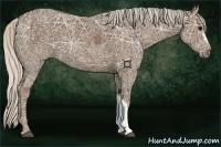 Horse Color:Silver Black Ice 