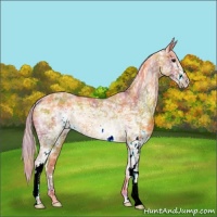 Horse Color:Nacre Watercolor White Spotted Silver Brown Ice