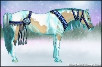 Horse Color:Thunderstruck Bay Dun Tobiano