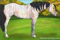 Horse Color:Bay Ice Roan 