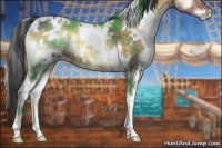 Horse Color:Plaid White Spotted Brown Onyx