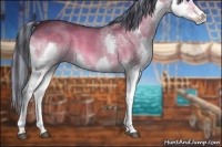 Horse Color:Painted Brown Dun Sabino Splash 
