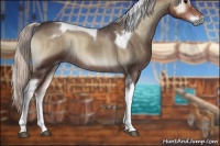 Horse Color:Silver Blue Onyx Sabino Tobiano 