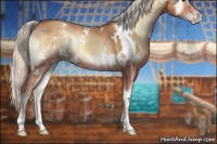 Horse Color:White Spotted Silver Classic Champagne Onyx 
