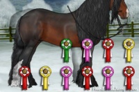 Horse Color:Brown 