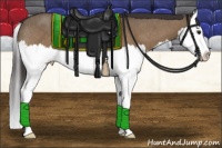 Horse Color:Brown Roan Dun Splash Appaloosa Rabicano Brindle