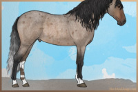 Horse Color:Brown Roan Dun Brindle