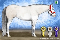 Horse Color:Bay Roan Dun Splash Brindle 