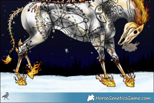 Horse Color:Black Chinchilla Appaloosa Rabicano 