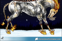 Horse Color:Black Chinchilla Appaloosa Rabicano 