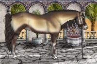 Horse Color:Liver Red Onyx