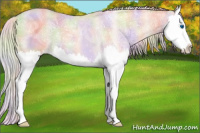 Horse Color:Nacre Silver Classic Champagne Ice Dun Splash 