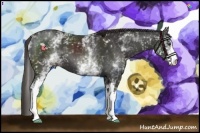 Horse Color:White Spotted Liver Chestnut 