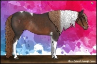Horse Color:Liver Chestnut Sabino Tobiano Rabicano