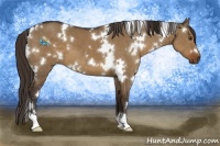 Horse Color:White Spotted Liver Red Dun 