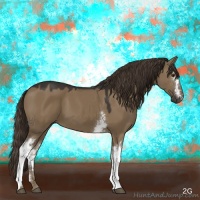 Horse Color:White Spotted Liver Red Dun 