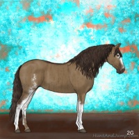 Horse Color:White Spotted Liver Red Dun Brindle 