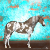 Horse Color:White Spotted Liver Red Dun Brindle 