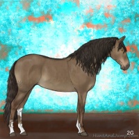 Horse Color:Liver Red Dun Sabino Brindle
