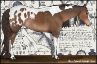 Horse Color:Liver Chestnut Sabino Tobiano Appaloosa 