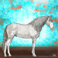 Horse Color:White Spotted Liver Red Dun Mushroom Sabino Brindle