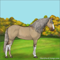 Horse Color:White Spotted Silver Brown Dun