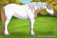 Horse Color:Red Dun Tobiano Frame 