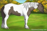 Horse Color:Smoky Grullo Tobiano
