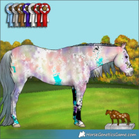 Horse Color:Nacre Watercolor White Spotted Bay Ice Onyx 