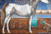 Horse Color:Liver Red Dun Sabino Splash Tobiano 