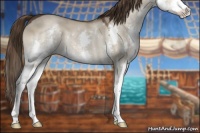 Horse Color:Liver Red Dun Sabino Splash