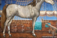 Horse Color:White Spotted Liver Red Dun Ice Pearl