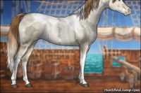 Horse Color:White Spotted Buckskin Ice Pearl Dun Tobiano 