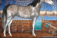 Horse Color:Brown Ice Dun Sabino Splash