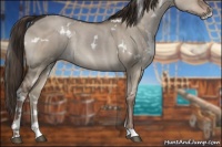 Horse Color:White Spotted Liver Red Dun Sabino 