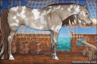 Horse Color:White Spotted Liver Red Dun 