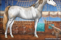 Horse Color:White Spotted Buckskin Ice Pearl Splash Frame