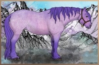 Horse Color:Watercolor Brown Roan 