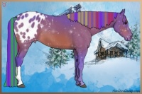 Horse Color:Painted Watercolor Bay Appaloosa 