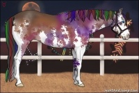 Horse Color:Painted Bay Splash 