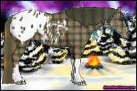 Horse Color:Plaid  Smoky Black Varnish 