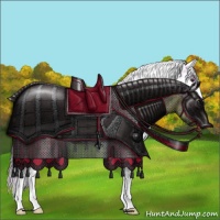 Horse Color:Watercolor Chocolate Palomino Onyx Sabino Appaloosa