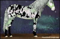 Horse Color:Watercolor White Spotted Palomino Onyx Appaloosa Rabicano
