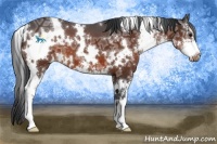 Horse Color:White Spotted Bay Ice Sabino 