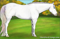 Horse Color:Nacre White Spotted Silver Classic Champagne Ice Dun Sabino Splash 