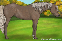 Horse Color:Silver Black 