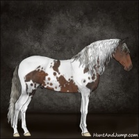 Horse Color:White Spotted Liver Chestnut Mushroom Tobiano 