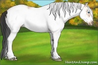 Horse Color:White Spotted Bay Ice Frame 