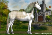 Horse Color:Plaid  Liver Chestnut Sabino Splash 